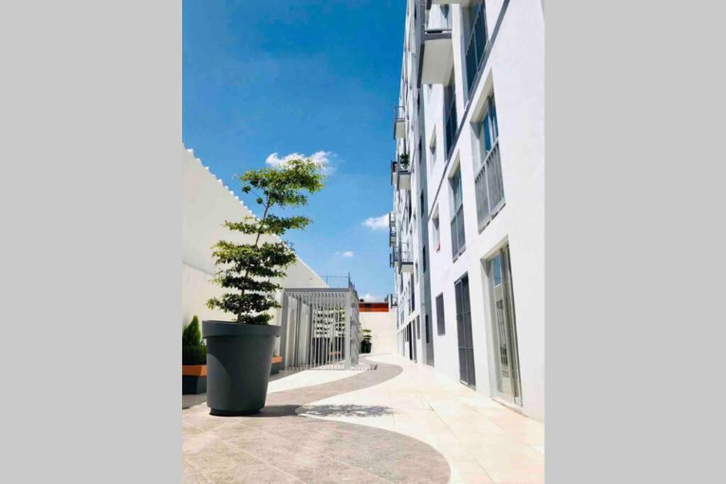 Apartmán Departamento *Mundo Viajero* Guadalajara Exteriér fotografie